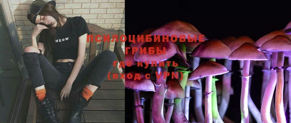 дживик Беломорск