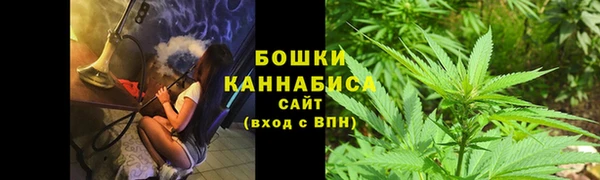 дживик Беломорск