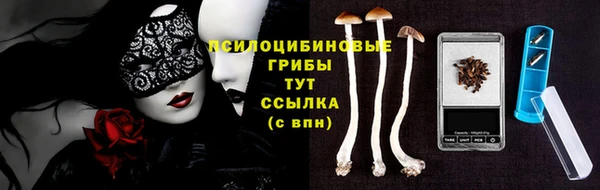 скорость Белокуриха