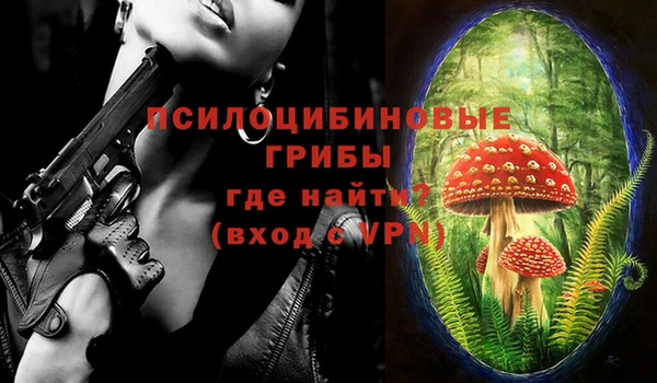 дживик Беломорск