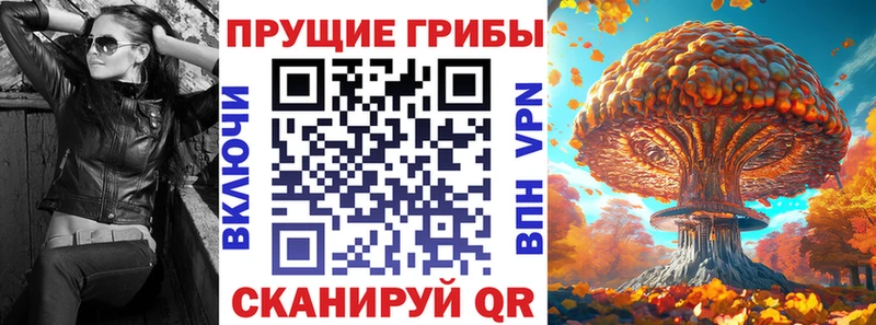 где можно купить наркотик гидра Псилоцибиновые грибы мицелий Сердобск